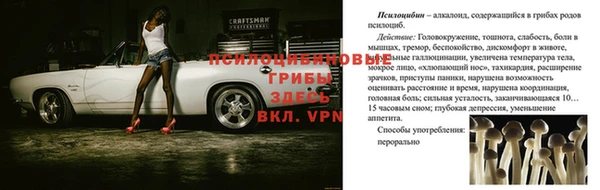 jwh Богданович