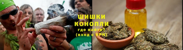 ECSTASY Богородицк