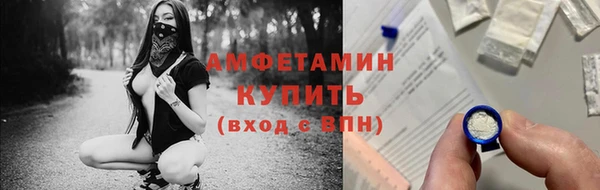 ECSTASY Богородицк