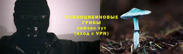 jwh Богданович