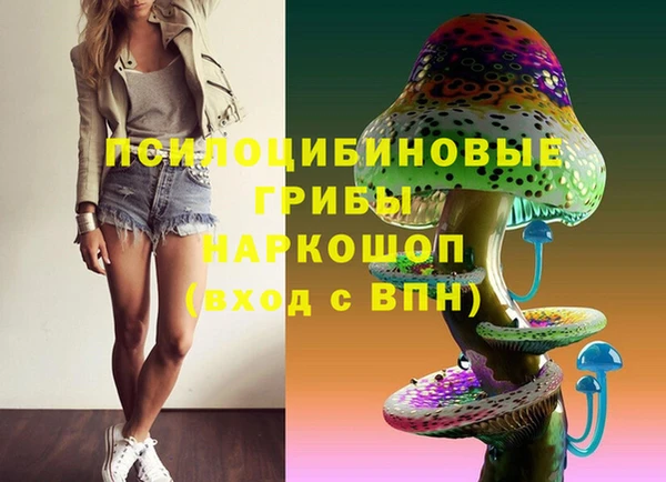 PSILOCYBIN Белокуриха