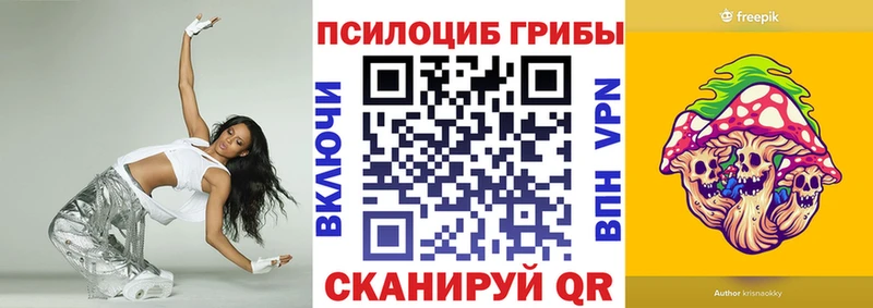 наркотики  Можайск  Псилоцибиновые грибы Psilocybine cubensis 